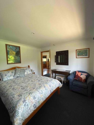 1 dormitorio con cama, silla y escritorio en Vayu Vista, en Princetown