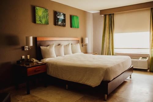 Un dormitorio con una cama grande y una ventana en Hilton Garden Inn Veracruz Boca del Rio, en Veracruz
