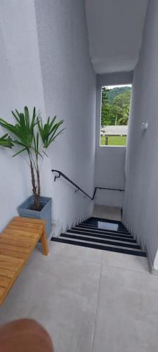 a stairway with a potted plant and a window at Villa Licuri Boiçucanga in Boicucanga