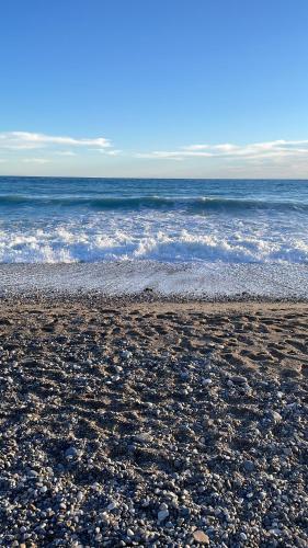 une plage rocheuse avec l'océan en arrière-plan dans l'établissement TreG5, à Menton