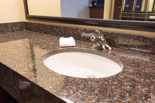 a bathroom counter with a sink with a faucet at Drury Inn & Suites Frankenmuth in Frankenmuth