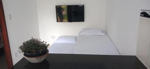 een slaapkamer met een bed en een potplant bij Mangue em flor in Maxaranguape