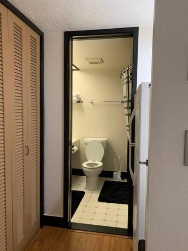 a bathroom with a toilet in a room at Lucy's Place -STUDIO Apt with air-conditioning, Murphy bed in Hilo