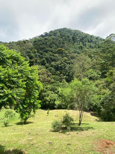 a mountain with trees in a field with grass at Matha Pousada e Bistrô in Lumiar