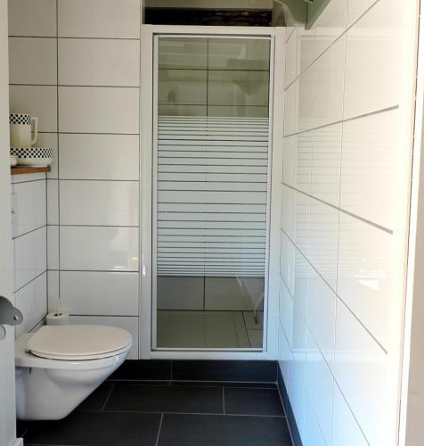 a bathroom with a toilet and a glass shower at Vakantieboerderij Ferme Le Bleuet in Ohey