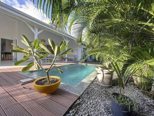 uma piscina numa casa com árvores e plantas em La Villa Rosa em Fort-de-France