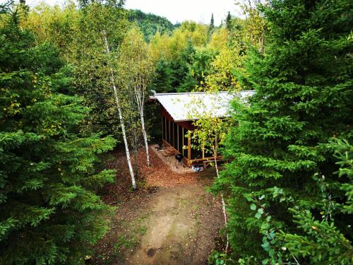 a cabin in the middle of a forest with trees at Chalet Mauricie, La Tuque in La Tuque