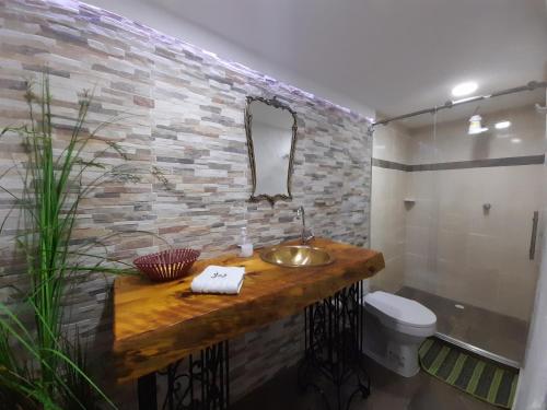 a bathroom with a sink and a toilet at Villa Luzandi in Quimbaya
