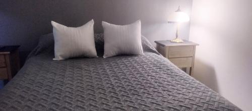 a bedroom with a bed with two pillows and a lamp at La casa de Flor in San Martín