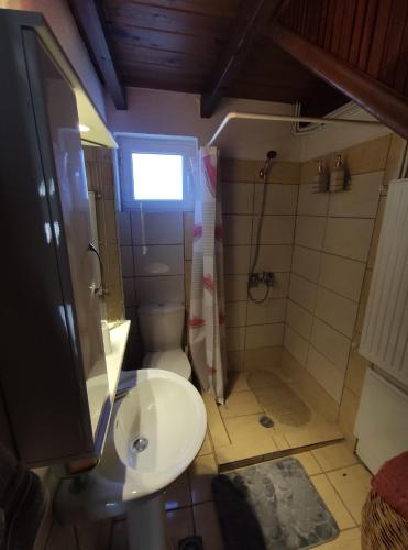 La salle de bains est pourvue d'une douche, de toilettes et d'un lavabo. dans l'établissement VILLA DOROTHY STUDIO, à Delphes