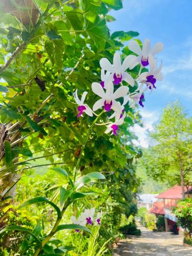 Zahrada ubytování Suriyan Villa Erawan Kanchanaburi สุริยัน วิลล่า เอราวัณ กาญจนบุรี