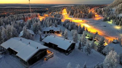 Rukan Tunturipöllö in de winter