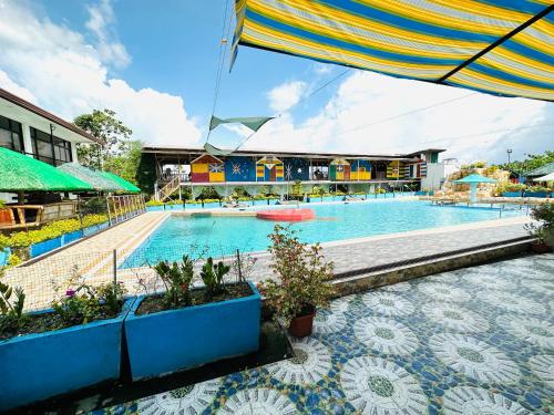 VMJ Inland Resort في Tagum: مسبح في منتجع فيه نباتات في قدور