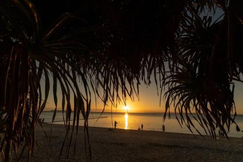 a sunset on a beach with a palm tree at NEW！パノラマオーシャンビューのテラスジャグジーは圧巻。新築２階建て吹抜け天井リビングは開放感抜群 in Sesoko