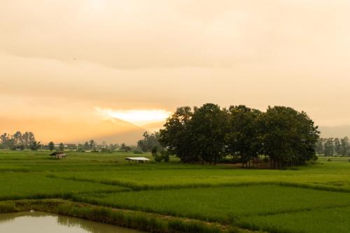a field with trees and a rainbow in the sky at Sangthong Resort at Chiang Klang in Chiang Klang