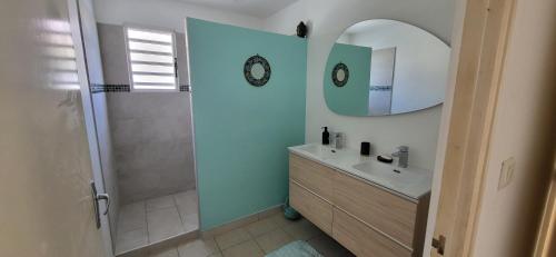 La salle de bains est pourvue d'une douche, d'un lavabo et d'un miroir. dans l'établissement VILLA THALIA à 300 m du lagon de la Saline les Bains, à La Saline les Bains