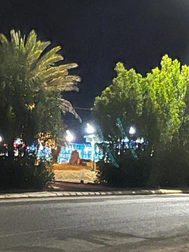 eine nächtliche Aussicht auf einen Park mit einer Palme in der Unterkunft شقه فاخره in Al Wajh