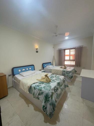 a room with two beds in a room with a window at Villamar Sea View rooms & apartments in Hurghada