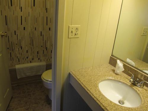 un bagno con lavandino, water e specchio di Macaluso's at the Lantern Lodge a Jim Thorpe
