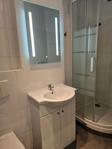 une salle de bain blanche avec un lavabo et une douche dans l'établissement Palais Ophelia, à Nice