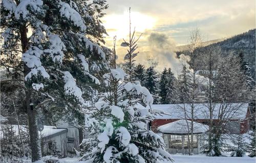 a snow covered tree in front of a building with smoke at Awesome Home In Trysil With Wifi in Trysil