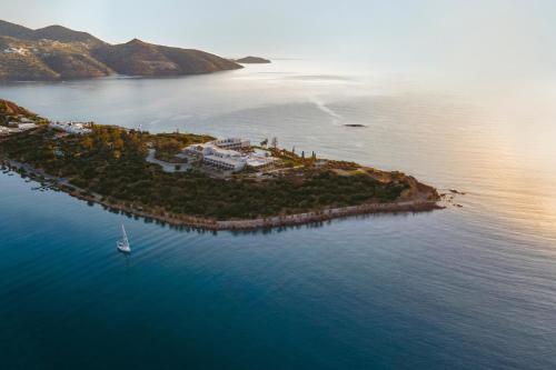 Minos Palace Hotel & Suites - Adults Only