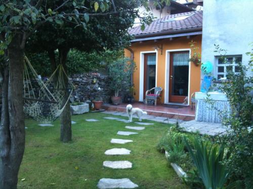 a dog standing in the yard of a house at B&B Il Castello Lago Maggiore con TERRAZZA in Cossogno