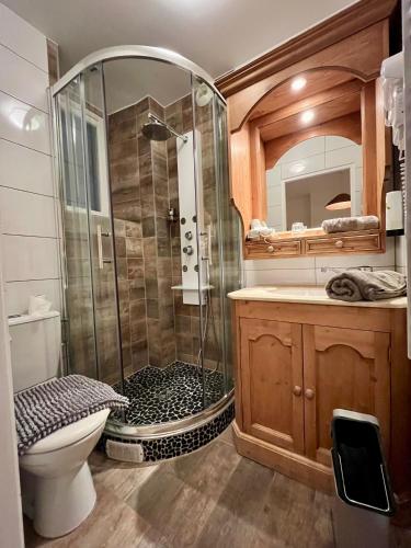 a bathroom with a shower and a toilet and a sink at Logis Hôtel De La Chapelle in Milon-la-Chapelle