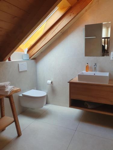 ein Bad mit einem WC und einem Waschbecken in der Unterkunft Scherauer Hof in Leinburg