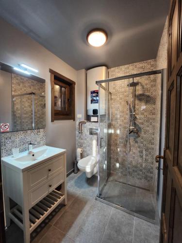 a bathroom with a shower and a sink and a toilet at Apartamente Creasta Craiului in Zărneşti