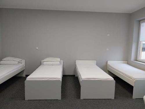 Pokój z 2 łóżkami i oknem w obiekcie Hostel Anilux w Jeleniej Górze