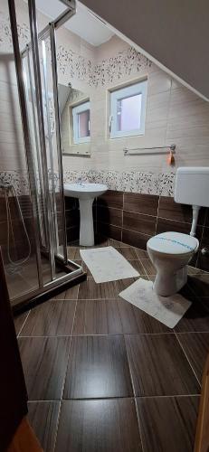 a bathroom with a toilet and a sink and a mirror at Apartments Katarina in Zlatibor