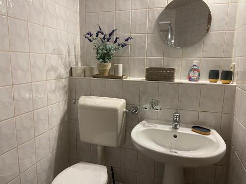a bathroom with a toilet and a sink and a mirror at Ferienhaus Glöckner in Seiffen