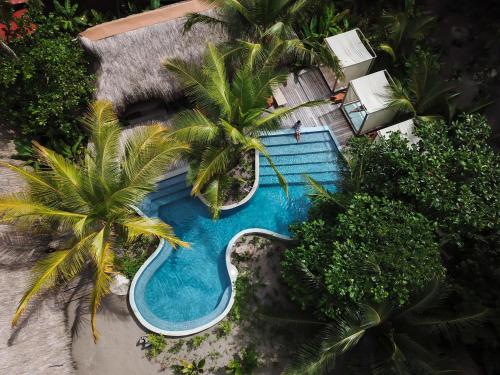 an overhead view of a swimming pool with palm trees at The Resort at Isla Palenque Member of the Cayuga Collection in Boca Chica