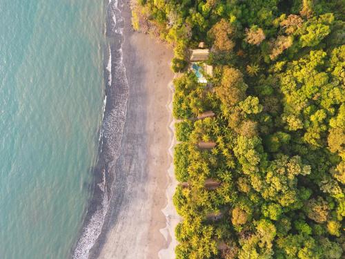 an overhead view of a beach with trees and water at The Resort at Isla Palenque Member of the Cayuga Collection in Boca Chica