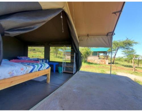 mara duwa safari camp – Photos 2