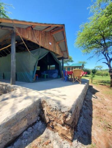 mara duwa safari camp – Photos 5