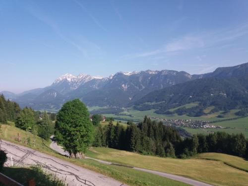 a view of a valley with a tree and mountains at Waldherrhof in Aich