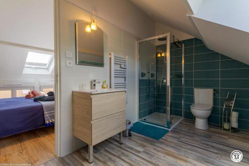 a bedroom with a bed and a shower and a toilet at Gîte de Savenay in Aunay-en-Bazois