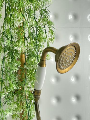 a hair drier next to a plant at Maryland Khaoyai Annapolis Pool Villa in Ban Nong Song Hong