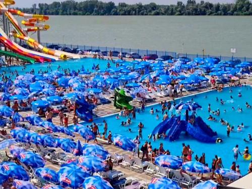 un grupo de personas en una piscina en un parque acuático en Stan na dan Nina Nekretnina Smederevo, en Smederevo