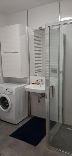 ein Badezimmer mit einem Waschbecken und einer Waschmaschine in der Unterkunft domek jelenia góra in Jelenia Góra