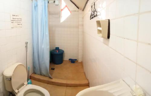 un piccolo bagno con servizi igienici e doccia di Banaue Transient House Bed and Breakfast a Banaue
