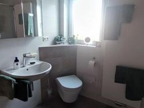 uma casa de banho com um WC branco e um lavatório. em Ferienwohnung Mörike em Großengstingen