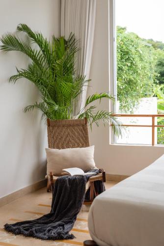 a bedroom with a chair and a plant next to a window at La Meira 3BHK Villas in Assagao with Private Pool, Garden, Caretaker, Kitchen & Security in Vagator