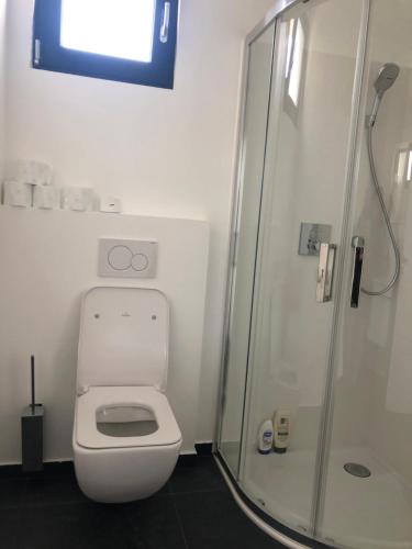 a bathroom with a white toilet and a shower at Studio de standing in Malakoff