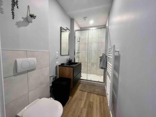 une salle de bain avec toilettes, douche et lavabo dans l'établissement Appartements Climatisés Centre-ville / 10 personnes, à Besançon
