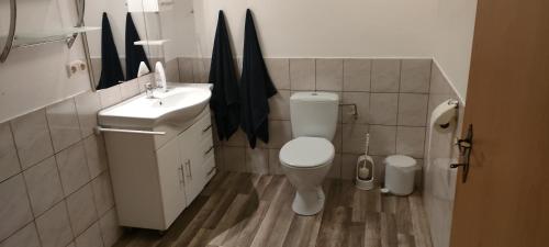 a small bathroom with a toilet and a sink at Käfer a in Waldbrunn