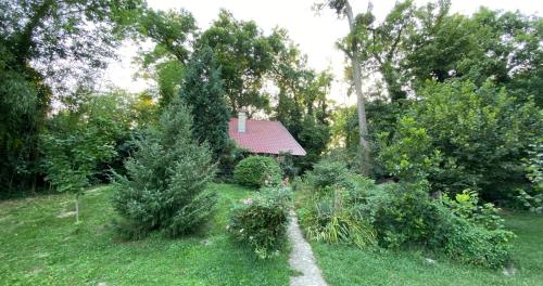 un giardino con cespugli e una casa sullo sfondo di Jezerski Mir - Vikendica Korlatoš a Bezdan