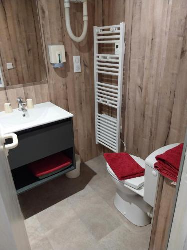 uma casa de banho com um lavatório branco e um WC. em Hôtel Jean XXII em Cahors